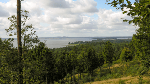 View of Horsens Fjord from Blakshøj in Sondrup Hills