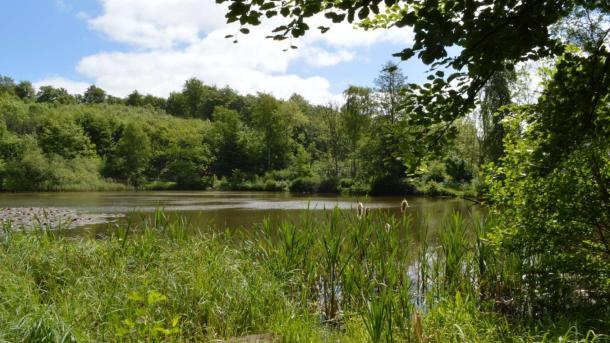 Elverdam lake in Bjerre Forest