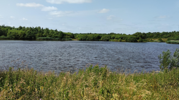 View over the Hedensted Lakes on a sunny day