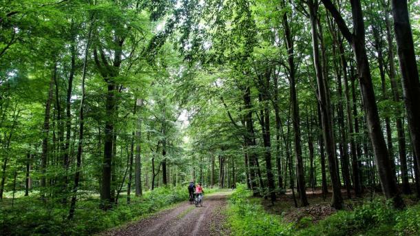 A couple of cyclists on the Odder-Horsens railway trail