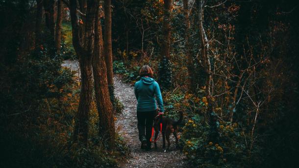 Woman walking with a dog in the forest