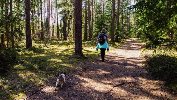 Woman walking with dog on a lead in a forest