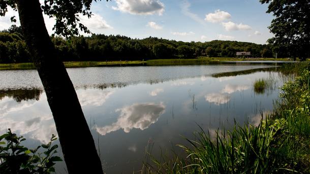 Rørbæk Lake