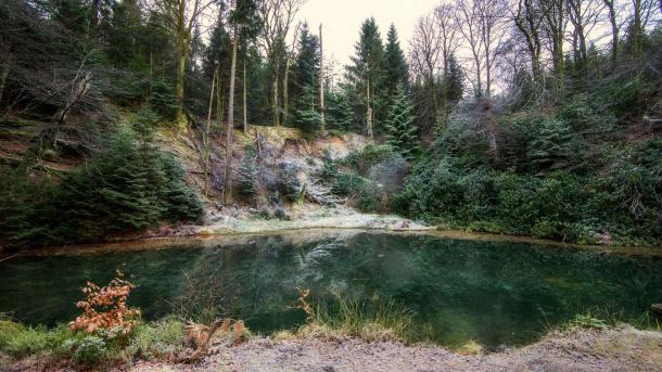 Lake at Ryhule with the forest in the background