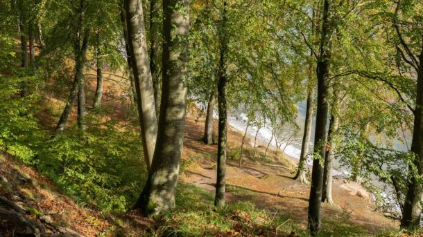 Slopes in Staksrode Skov