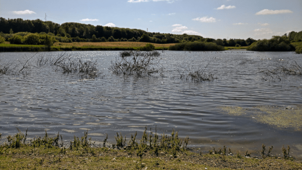 Torsted Meadow Lake (Engsø) in Horsens