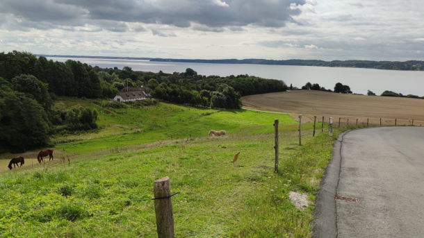 View of Vejle Fjord from a hill near Daugård Beach