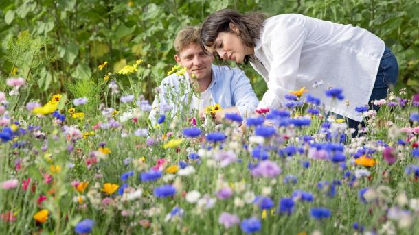 A couple picking flowers at Frilandsblomster on Tunø - part of Destination Coastal Land