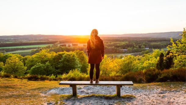 View from Sukkertopppen