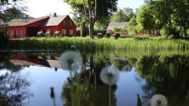 Sommer ved Klostermølle