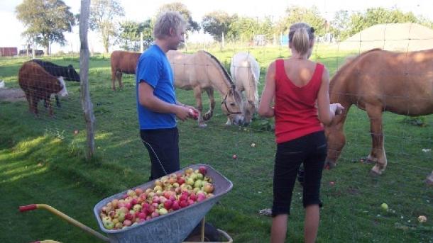 Ferie med dyr hos Nygaardferie