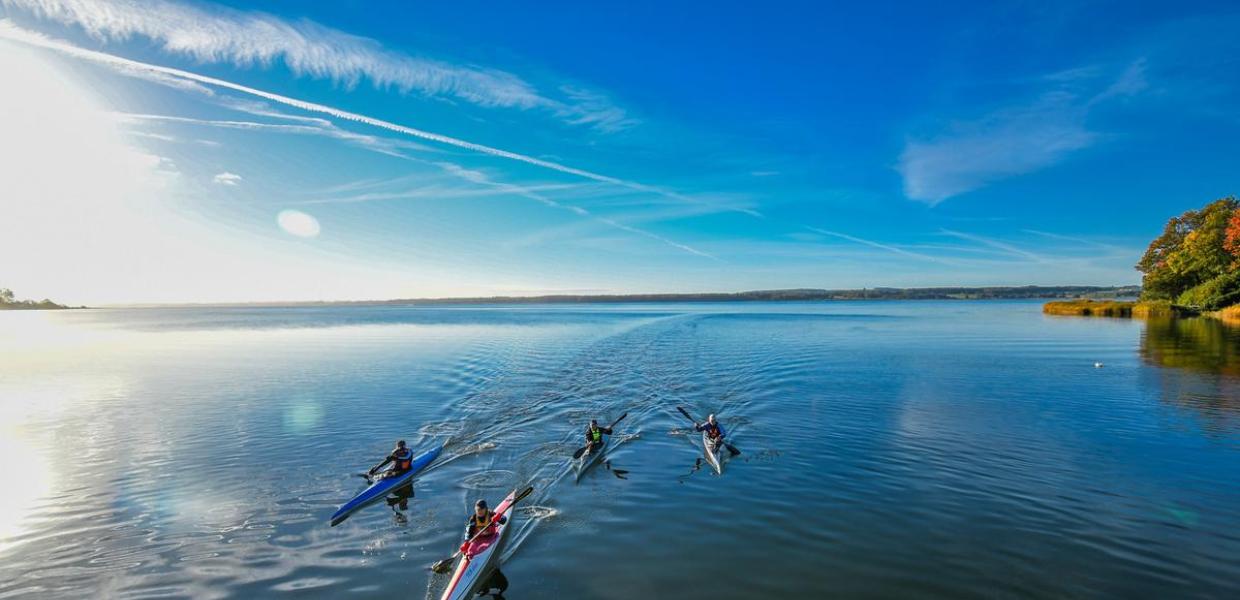 Kayakers in Horsens Fjord