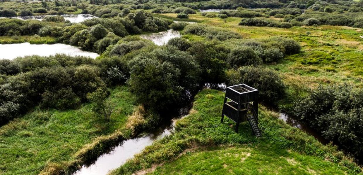 Drone photo of Uldum Marsh and the birdtower in the Costal land