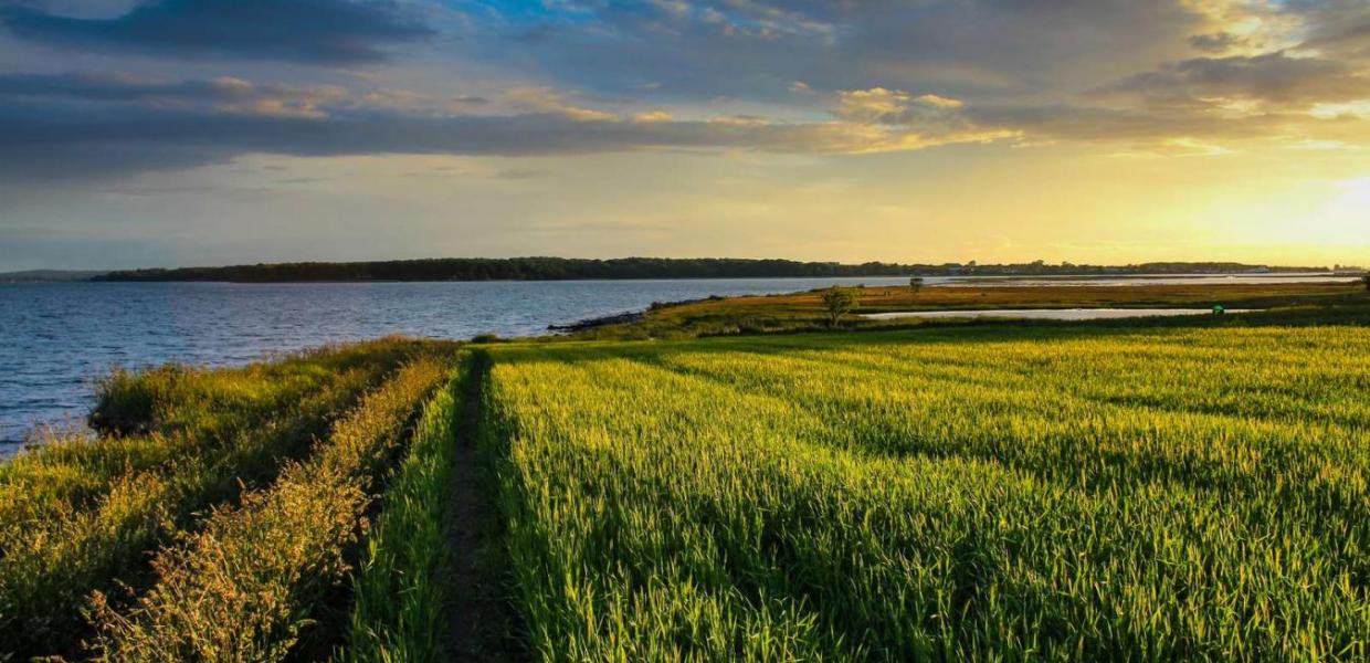 Sunset over a field on Hjarnø