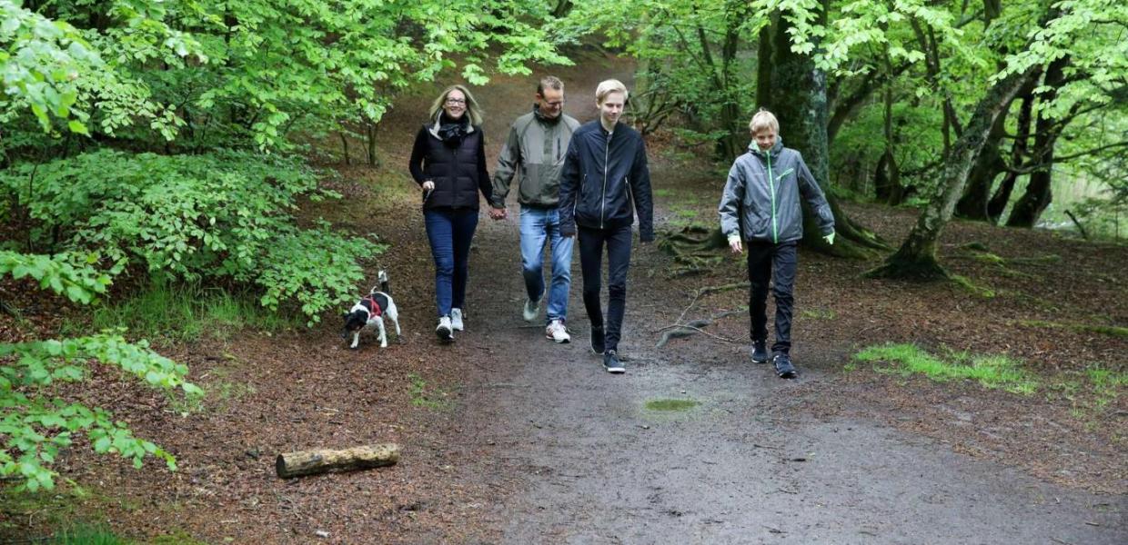 A family taking a walk in the forest with the dog