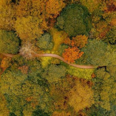 The park surrounding Hotel Vejlefjord in the Coastal Land from above in autumn colours