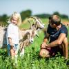 Dad and kids meeting the goats at field