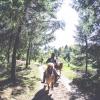 Fuglsang Horseback Riding