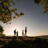 Family walking in the sunset at Sukkertoppen