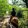 Horse riding on the rabbit island of Endelave in the East Jutland Archipelago - part of Destination Coastal Land