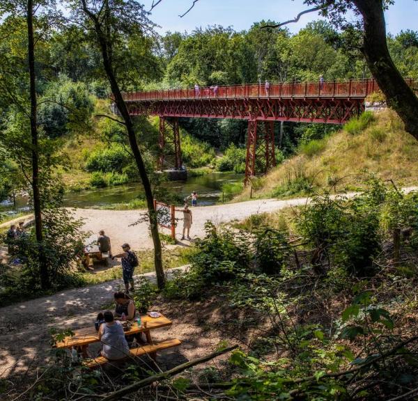 Bench at The Uncovered Brigde