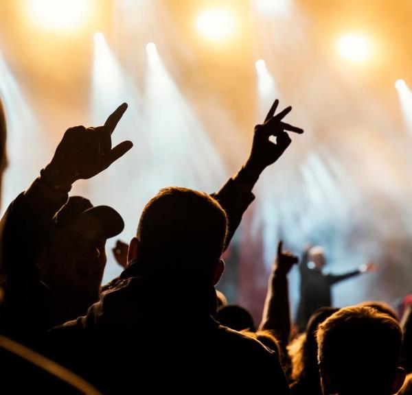 Crowd at a concert