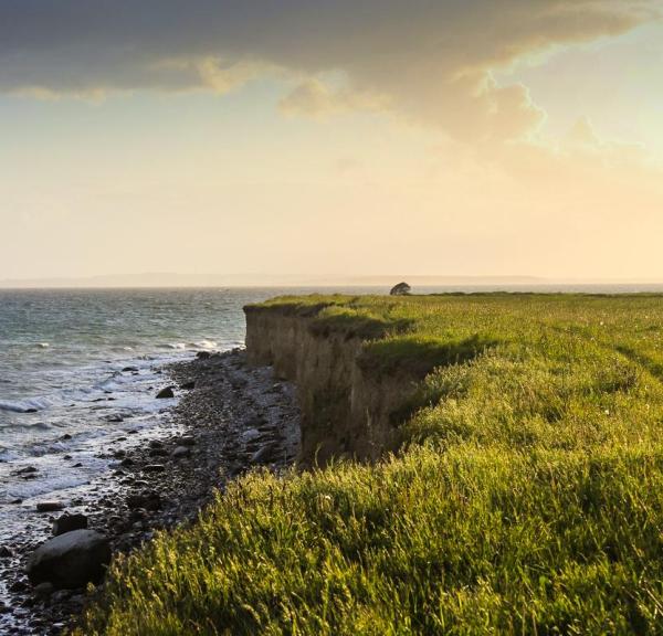 The shores of Endelave