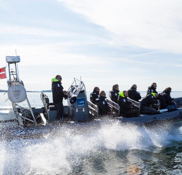 Aarhus SeaRangers