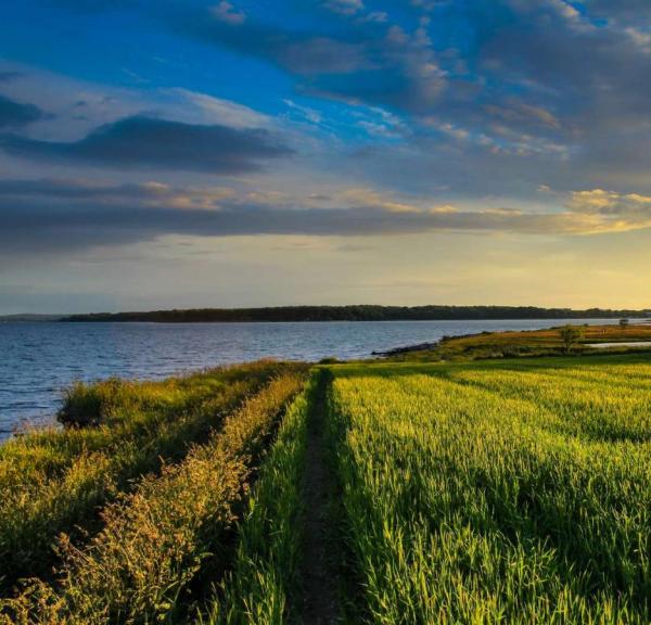 Sunset over a field on Hjarnø
