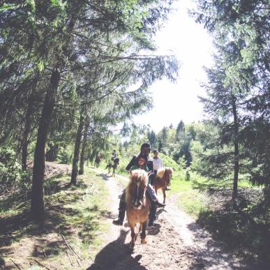 Fuglsang Horseback Riding