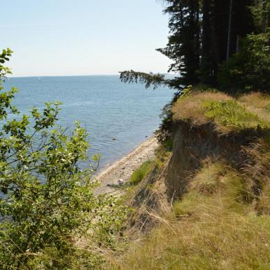 Snaptun-Juelsminde Coastal Path