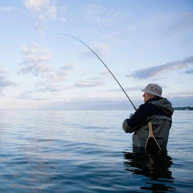 An angler fishing from the coast in Destination Costal Land