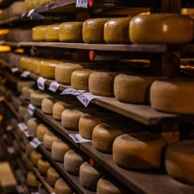The organic dairy in Sondrup near Odder has rows of cheeses