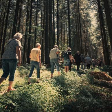 Guidet tur i naturen med Horsens Kommunes naturvejleder