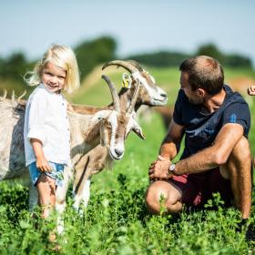 Dad and kids meeting the goats at Øko  Ged & Grønt