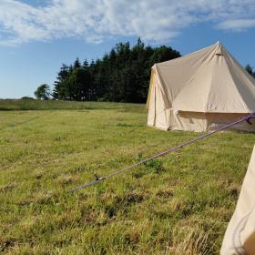 Glamping tents at Holmely