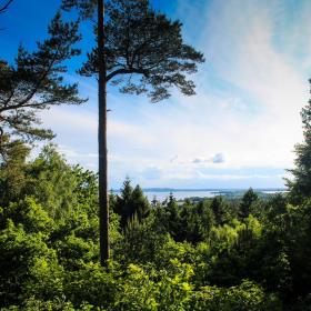 Sondrup forest a Viewing point where you can see Horsens Fjord