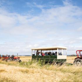 Red tractor guided tour on Hjarnø