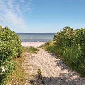Path down to a fine sandy beach on the Odder coast in Destination Coastal Land