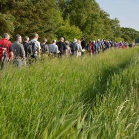 Large group on a guided walk at Gyllingnæs