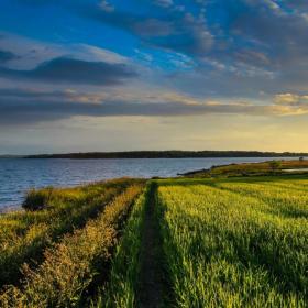 Sunset over a field on Hjarnø