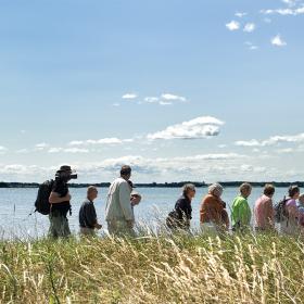 A large group walking on a guided trip along Horsens Fjord