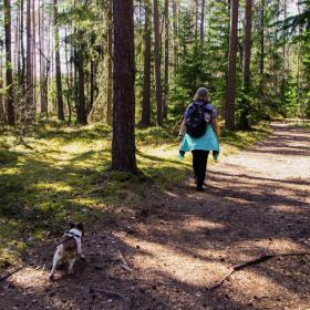 Woman walking with dog on a lead in a forest