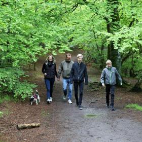 A family taking a walk in the forest with the dog