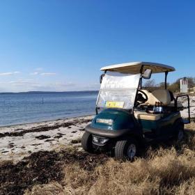 Take a tour of Hjarnø in a golf buggy from Hjarnø Golf Buggy and Bicycle Hire