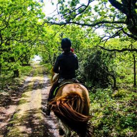 Horse riding on the rabbit island of Endelave in the East Jutland Archipelago - part of Destination Coastal Land