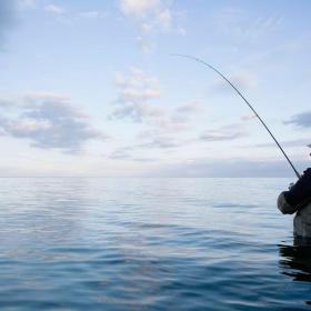 Man fishing in the sea at sunset