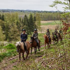 Ponying horseback tours for the family in The Coastal Land