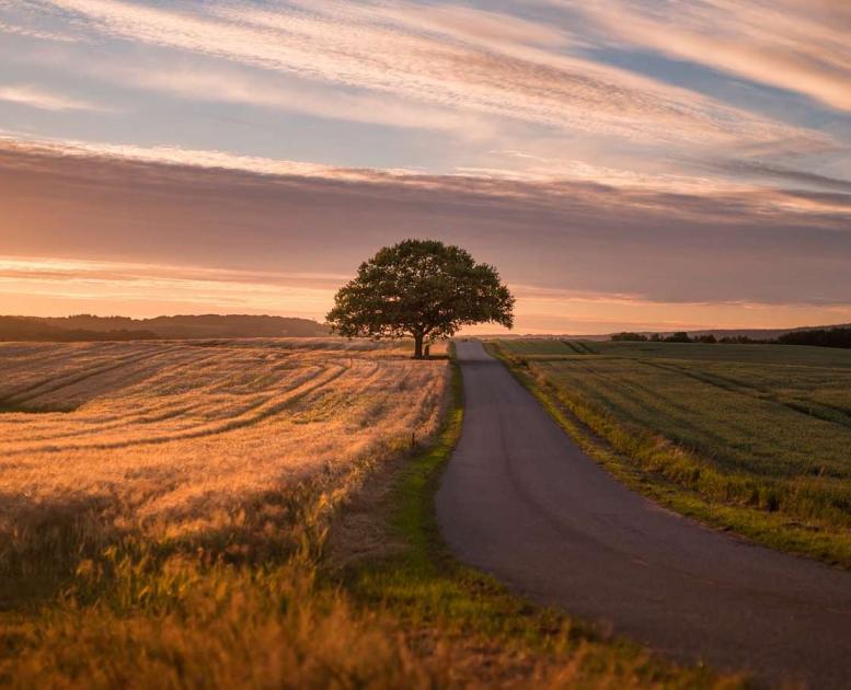 Bakkelandet - a part of Destination Coastal Land