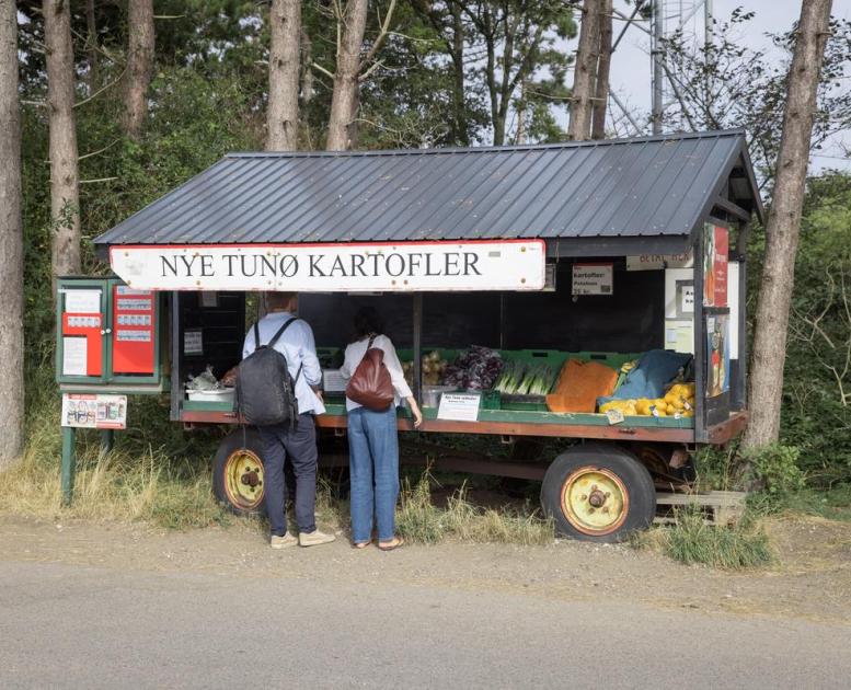 Kvinde og mand kigger i en vejsidebod med friske grøntsager på Tunø i Destination Kystlandet